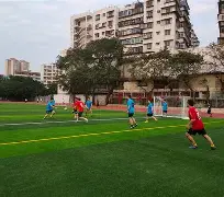 多名球员状态回升，广东队内竞争激烈(广东队现状)